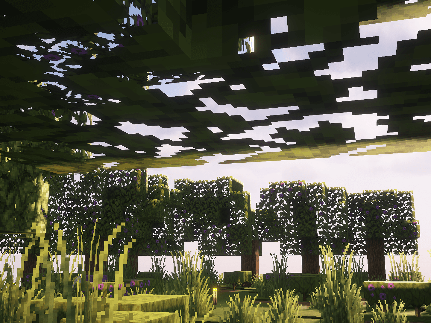 Архитектурные шедевры