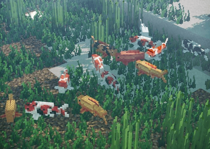 Дружелюбное сообщество